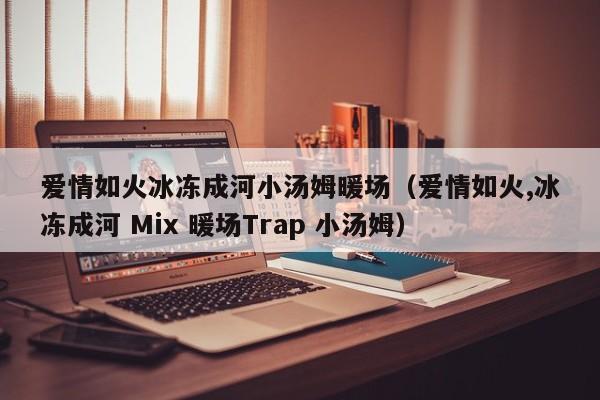 爱情如火冰冻成河小汤姆暖场（爱情如火,冰冻成河 Mix 暖场Trap 小汤姆）